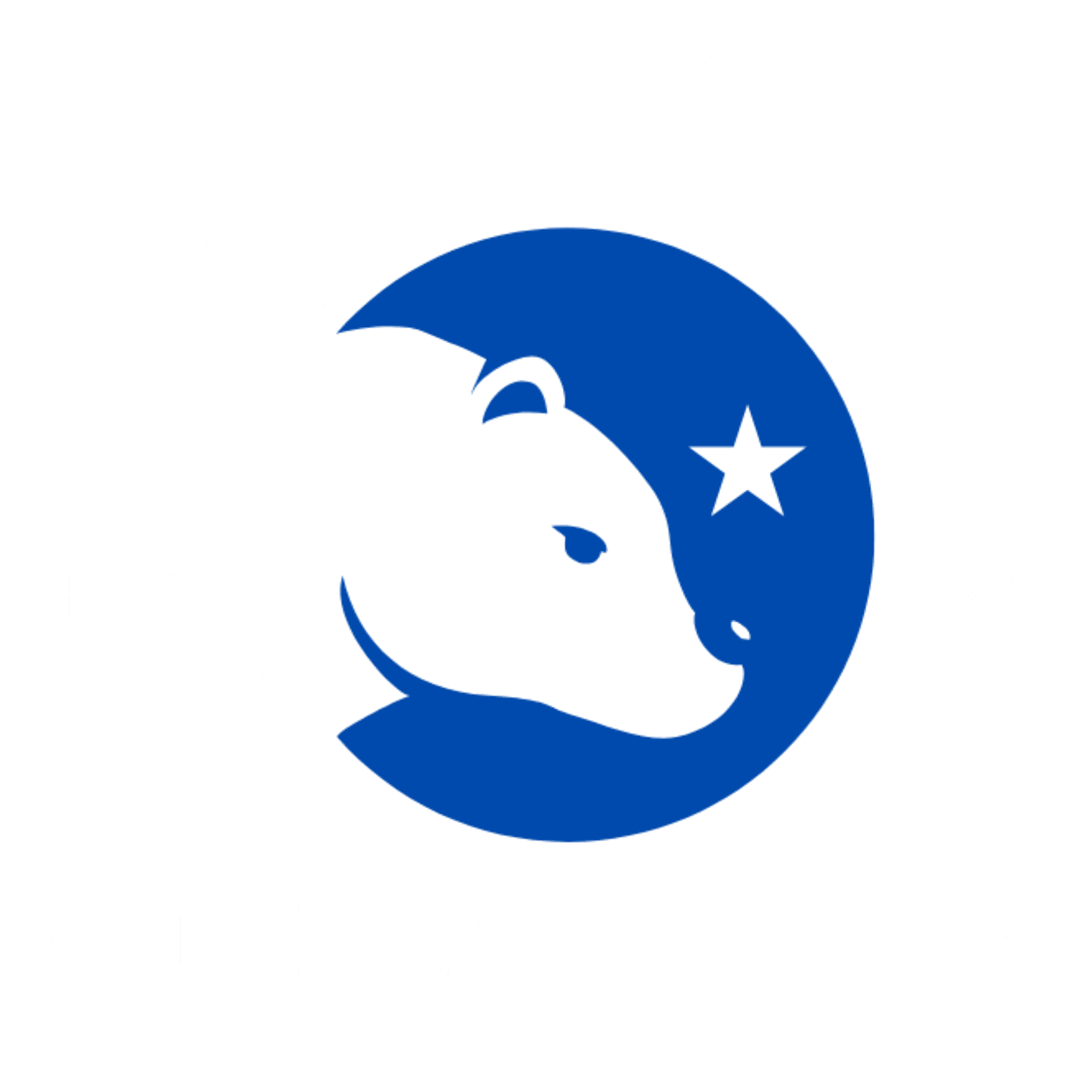 North Pole Christmas Lights