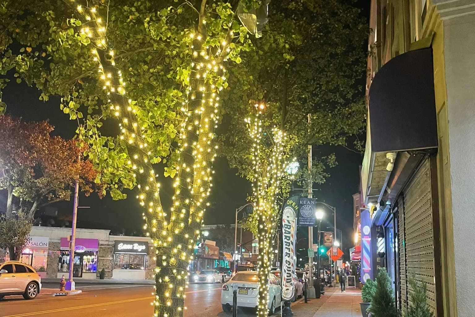 A row of street trees wrapped trunk to branch in warm white outside lit storefronts at night