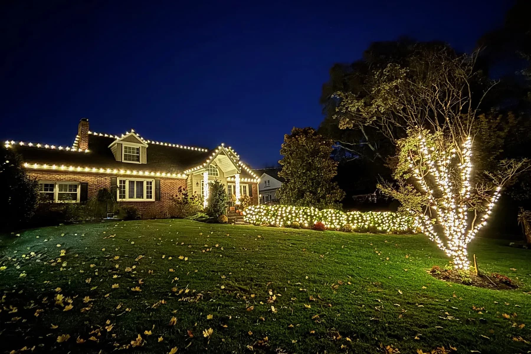 A brick home lit along every roofline with the entry columns wrapped, a hedge of lit bushes and a fully wrapped tree in the front yard